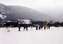 Bursa